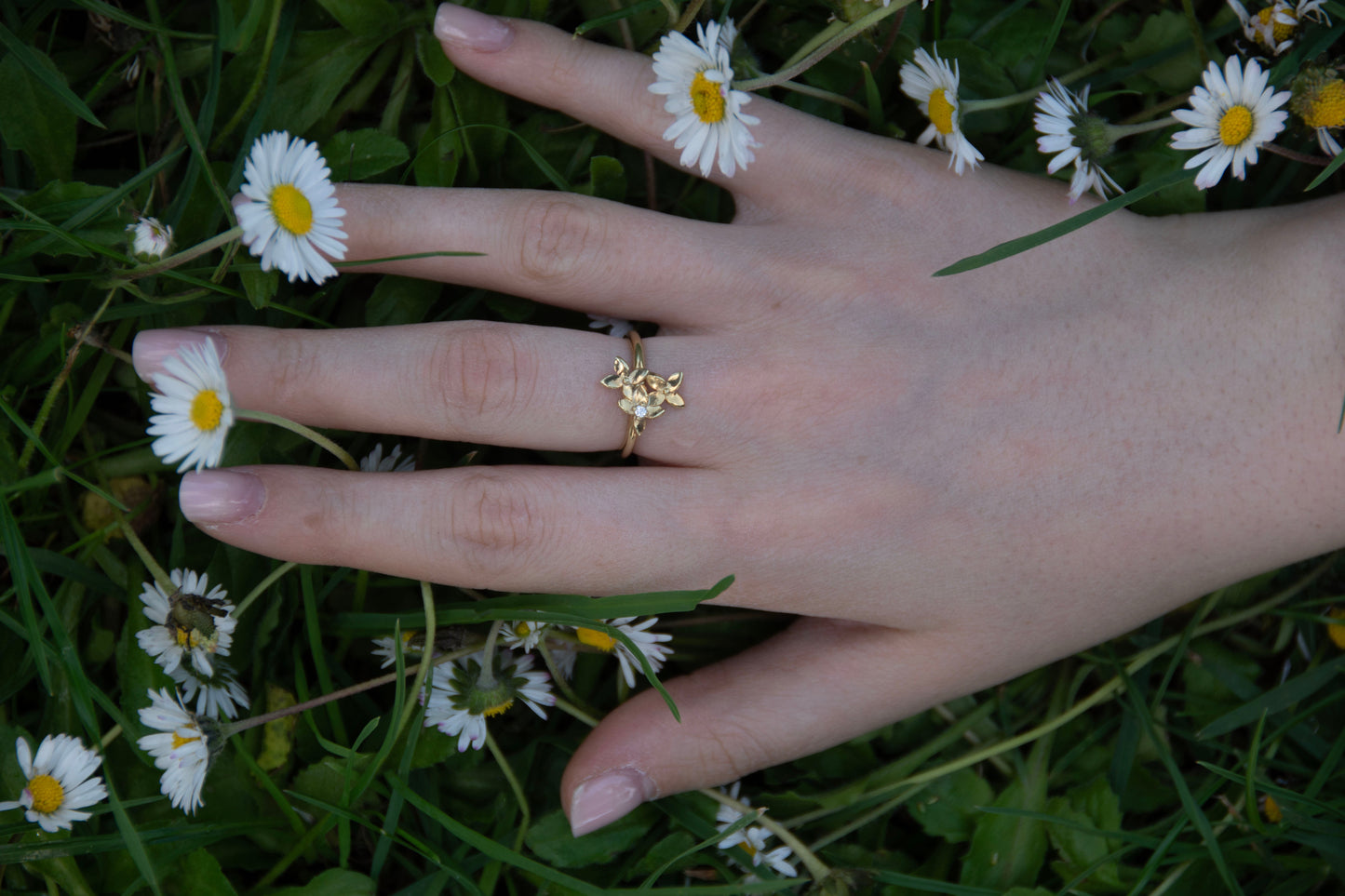 Anello Clori Mini